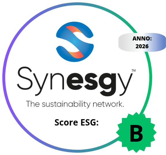 logo synesgy